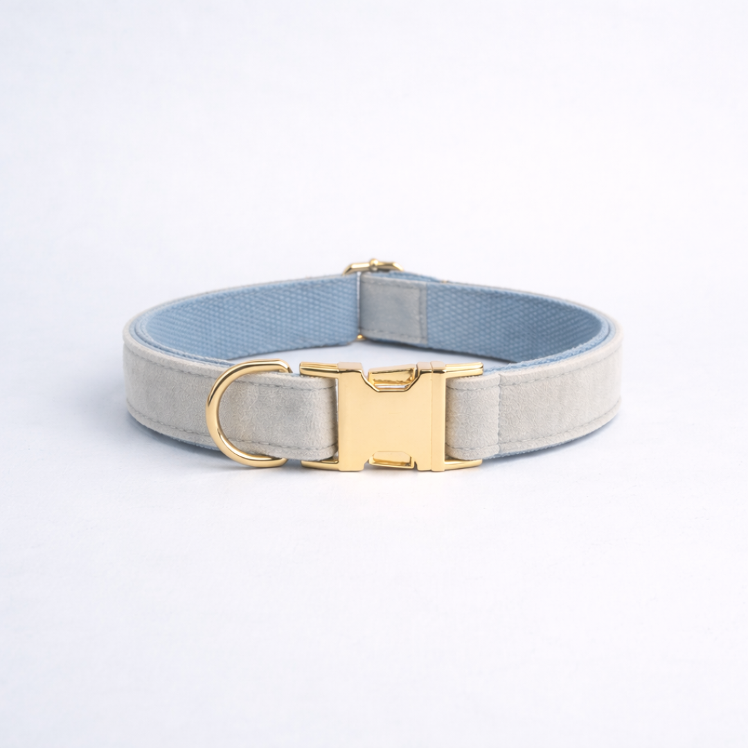 Sky Velvet Collar & Leash