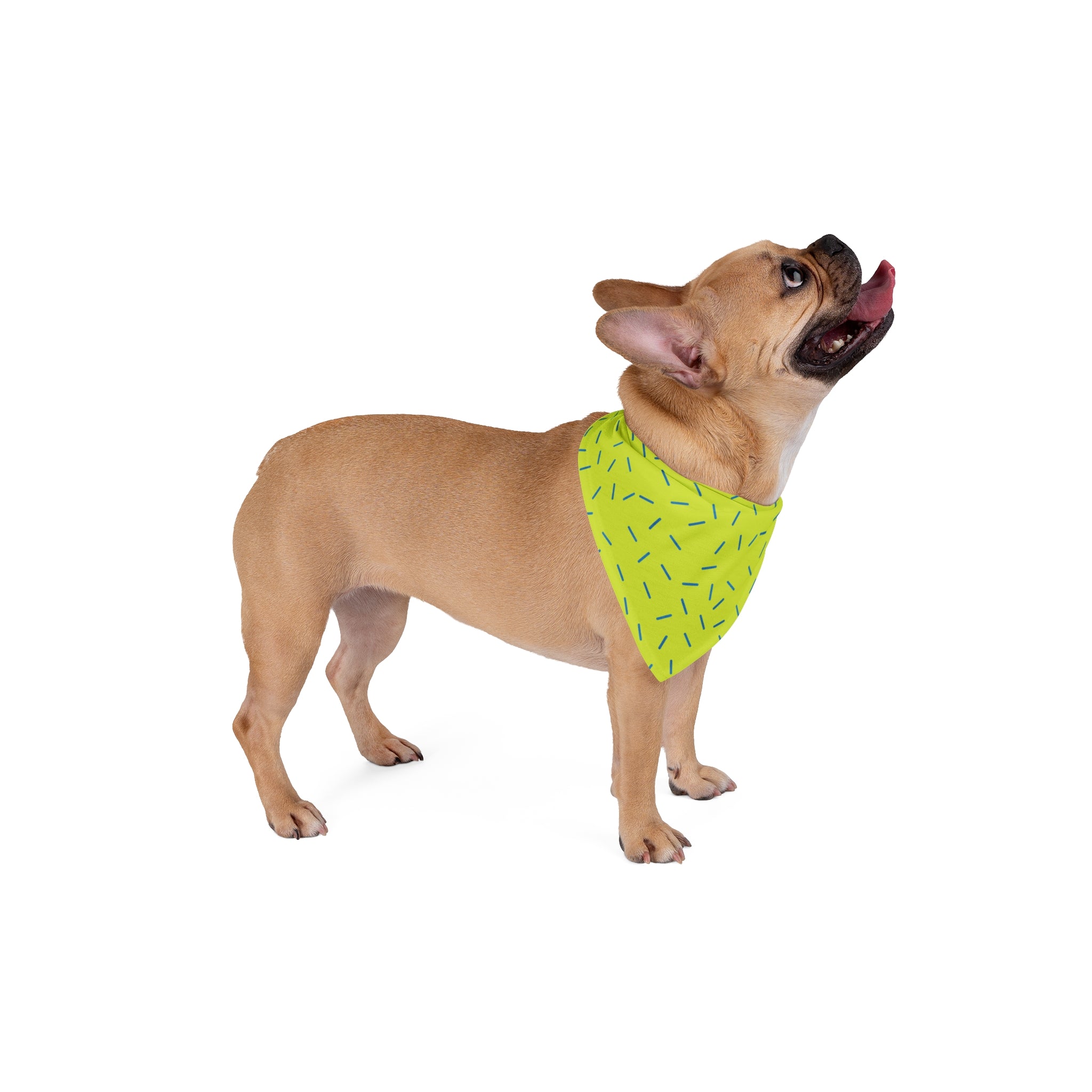 Neon Sprinkles Pet Bandana — Lime Green Patterned Dog & Cat Accessory
