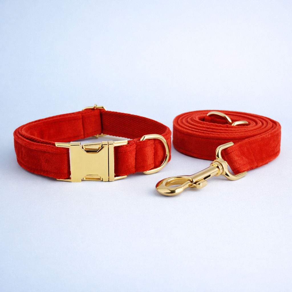 Ruby Red Velvet Collar & Leash