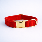 Ruby Red Velvet Collar & Leash