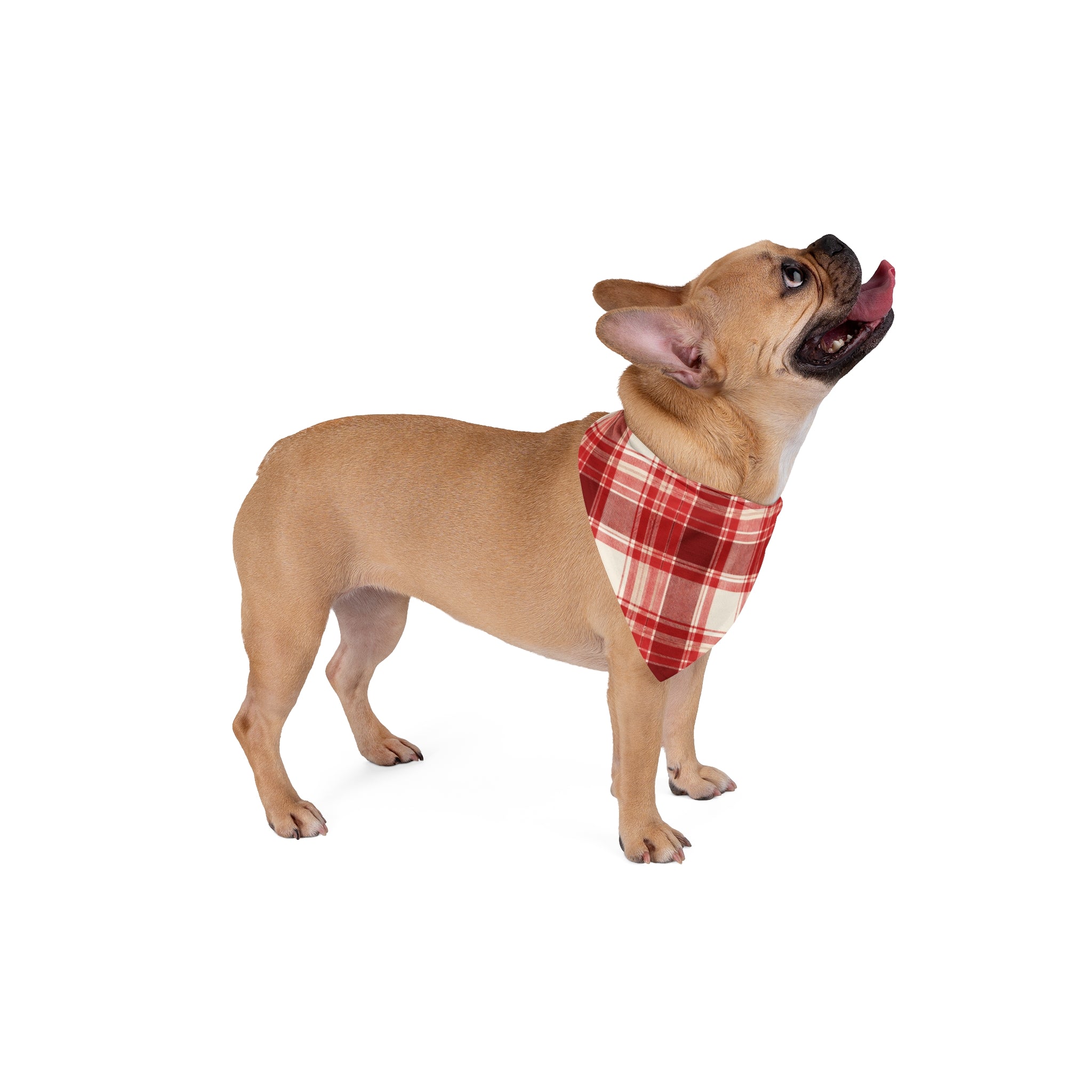 Red Plaid Pet Bandana — Cozy Holiday Plaid Dog & Cat Scarf
