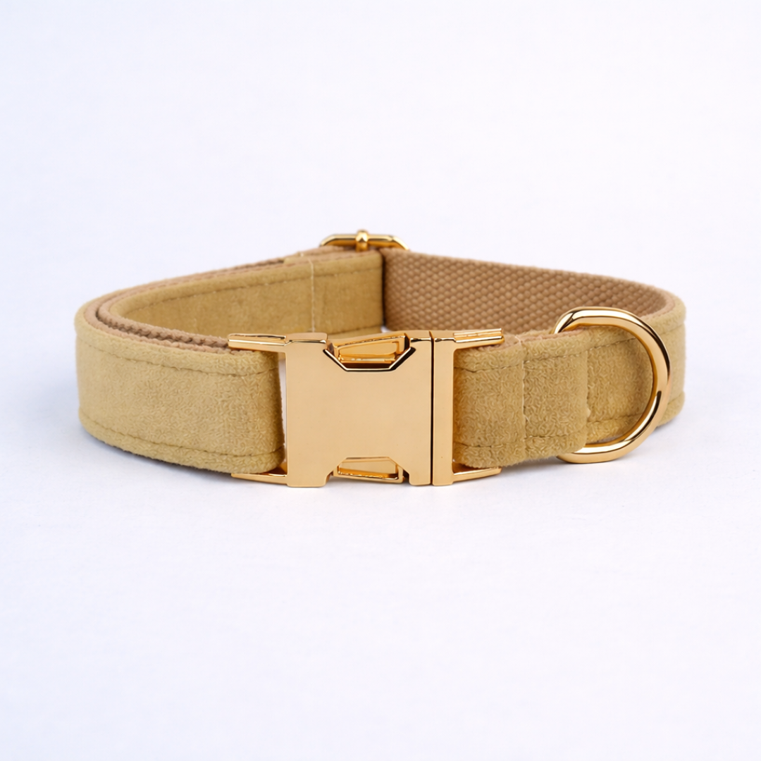 Nude Velvet Collar & Leash