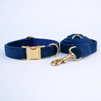 Azure Velvet Collar & Leash