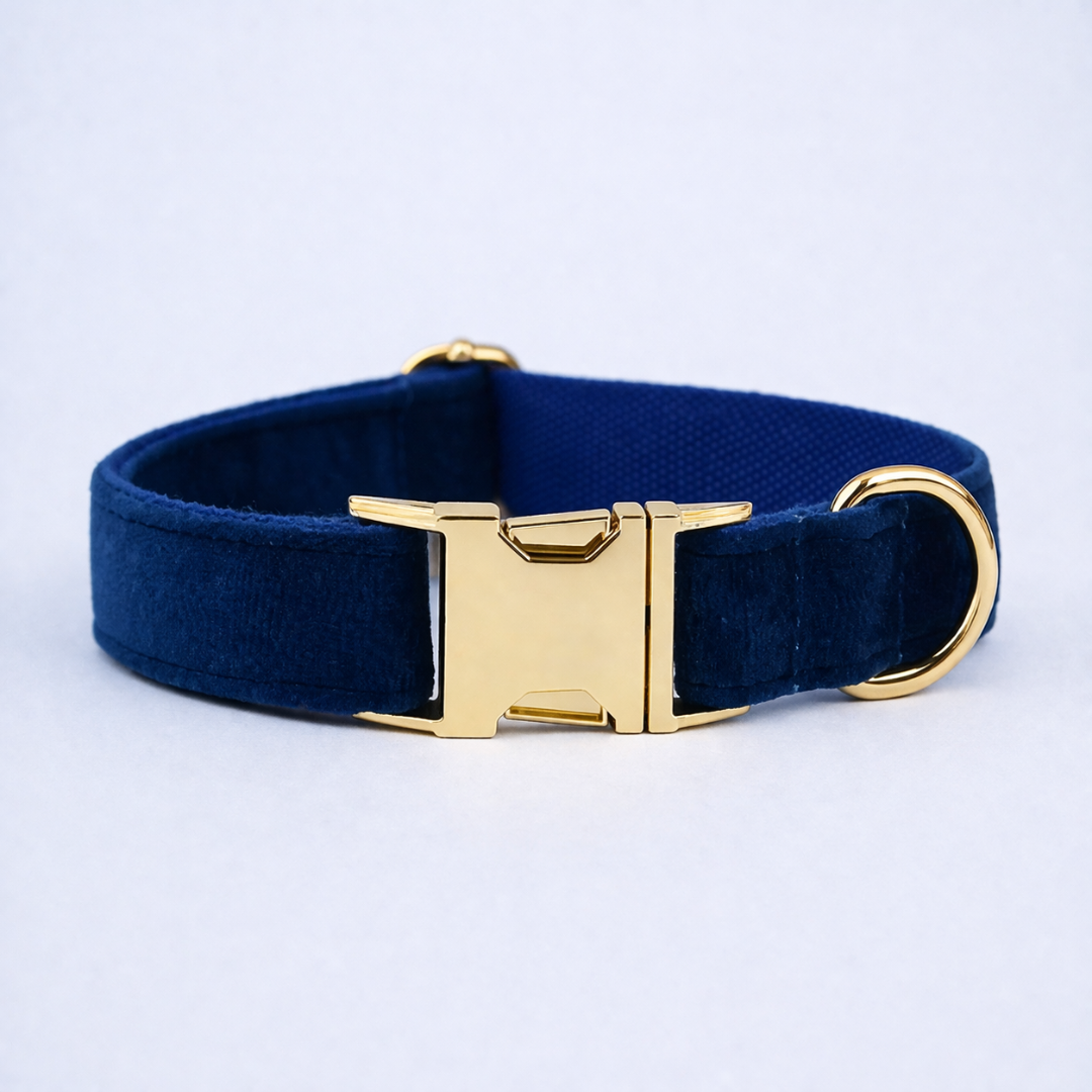 Azure Velvet Collar & Leash