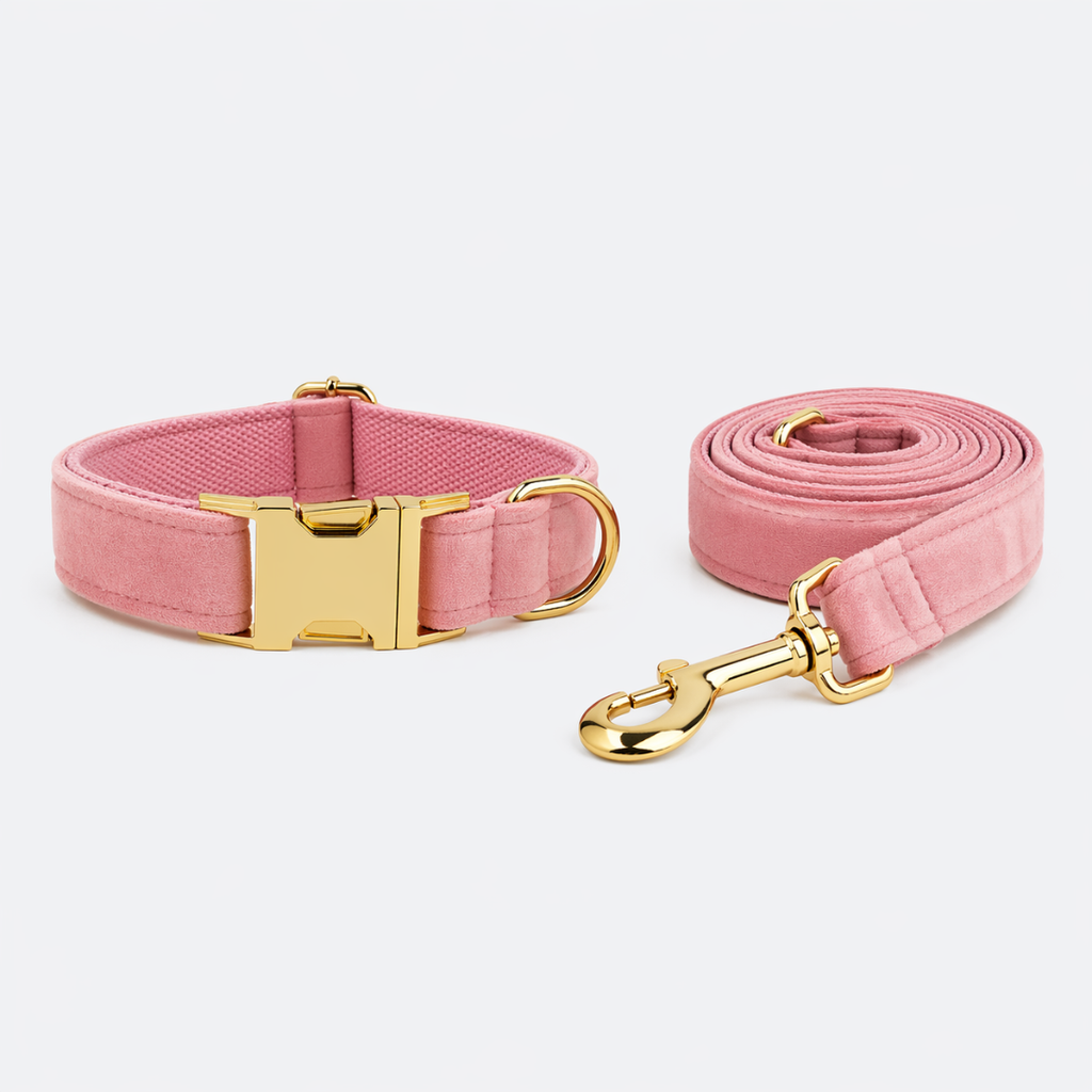 Blush Velvet Collar & Leash