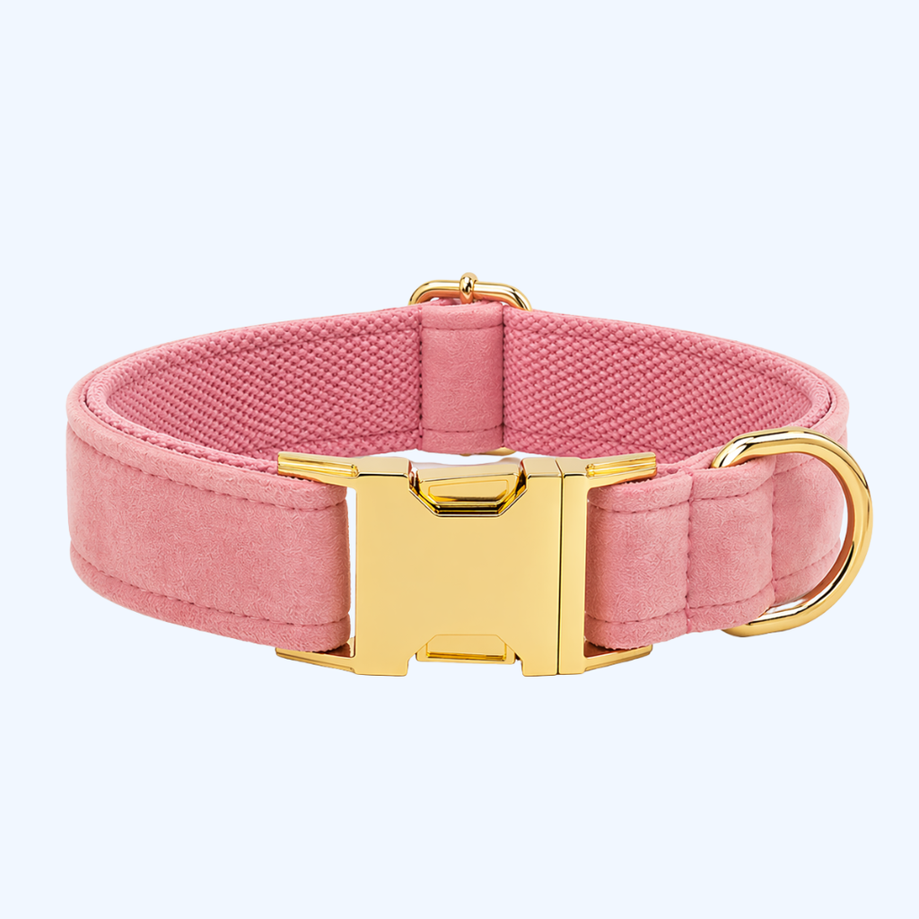 Blush Velvet Collar & Leash