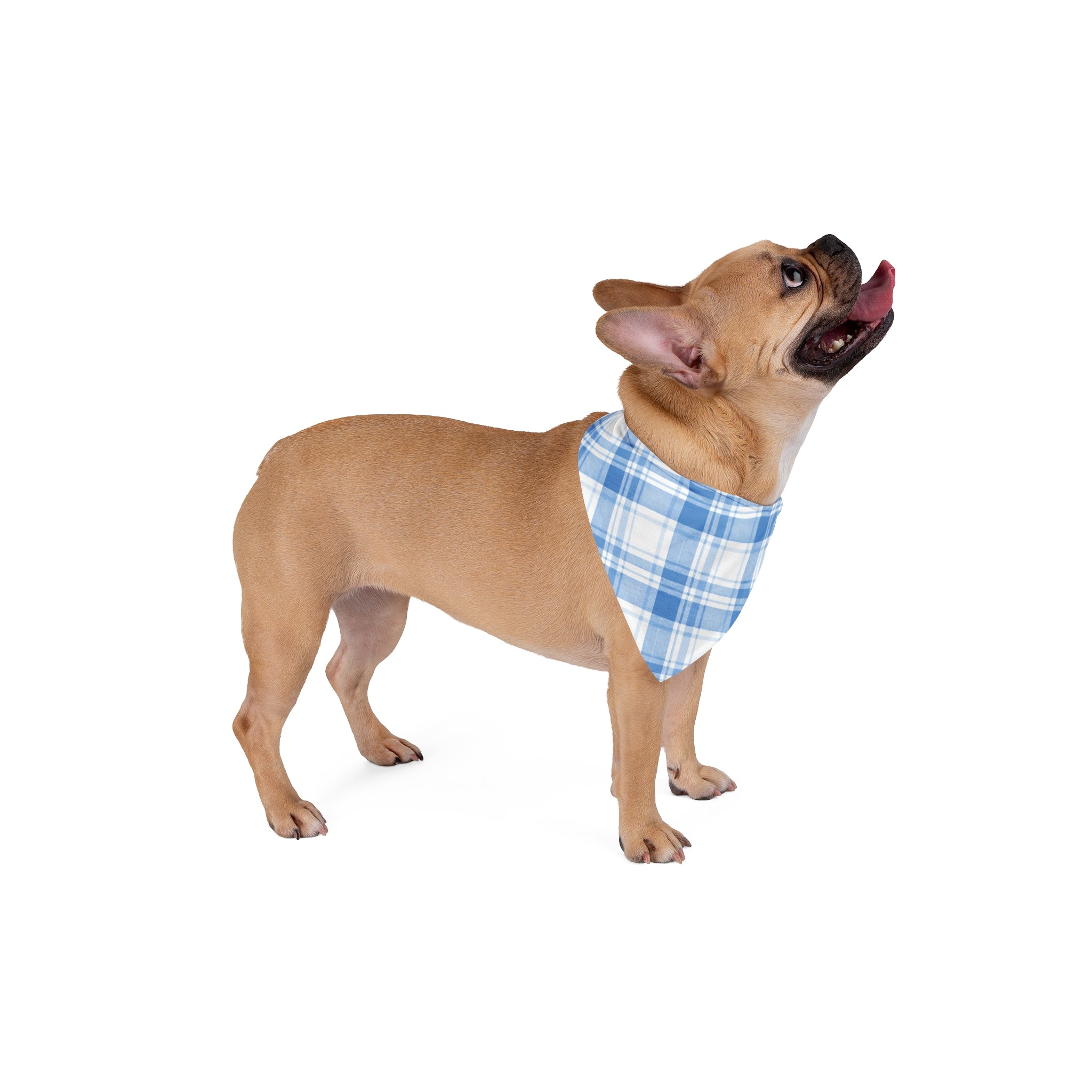 Blue Plaid Pet Bandana — Classic Check Dog & Cat Scarf