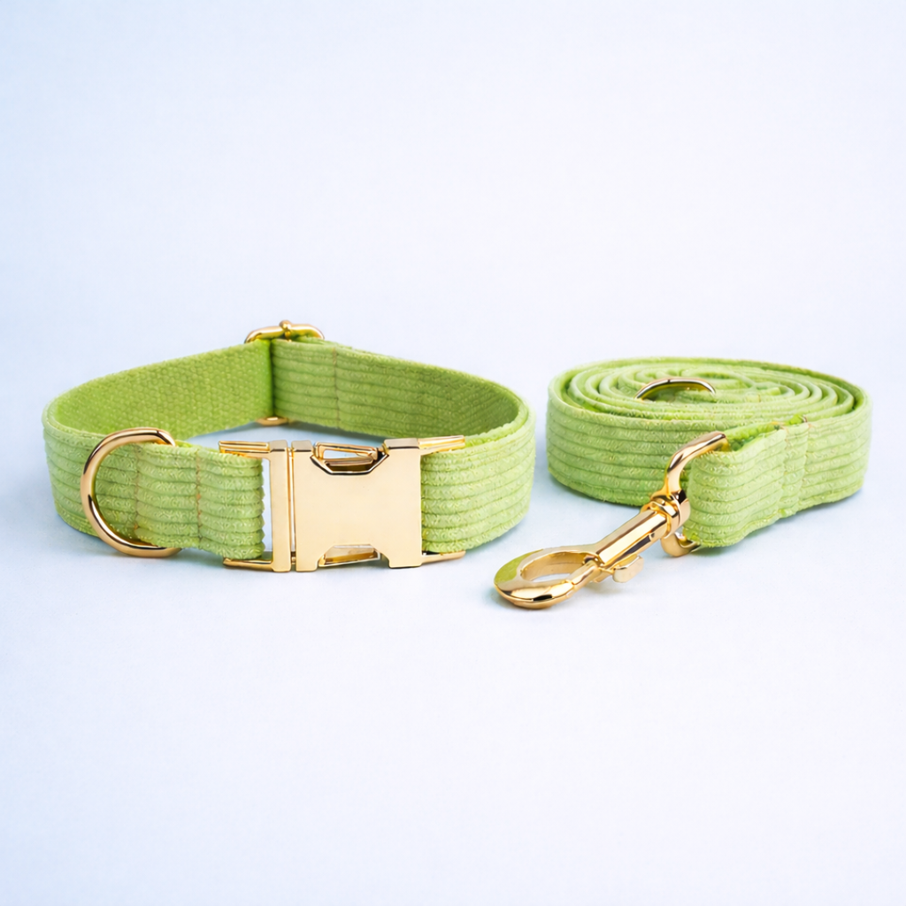 Apple Fruit Green Corduroy Collar & Leash