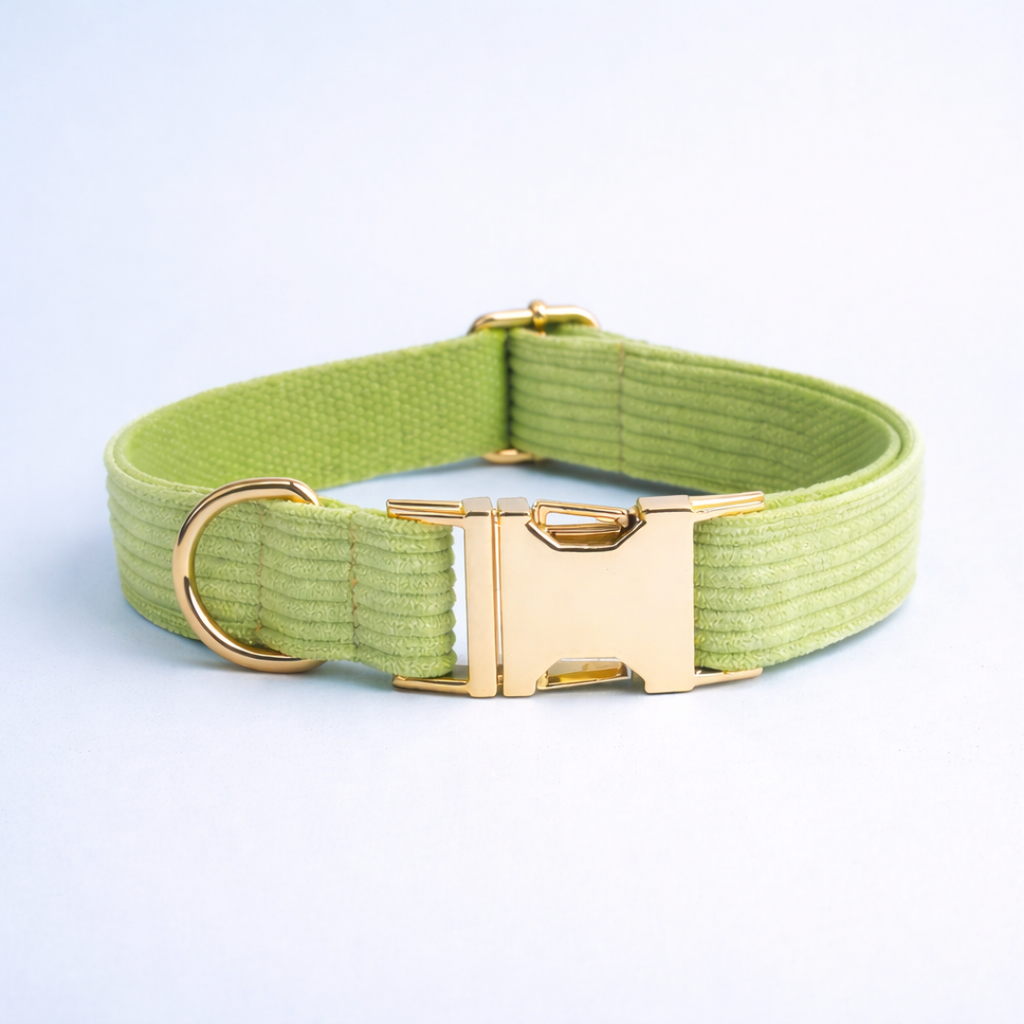 Apple Fruit Green Corduroy Collar & Leash