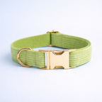 Apple Fruit Green Corduroy Collar & Leash