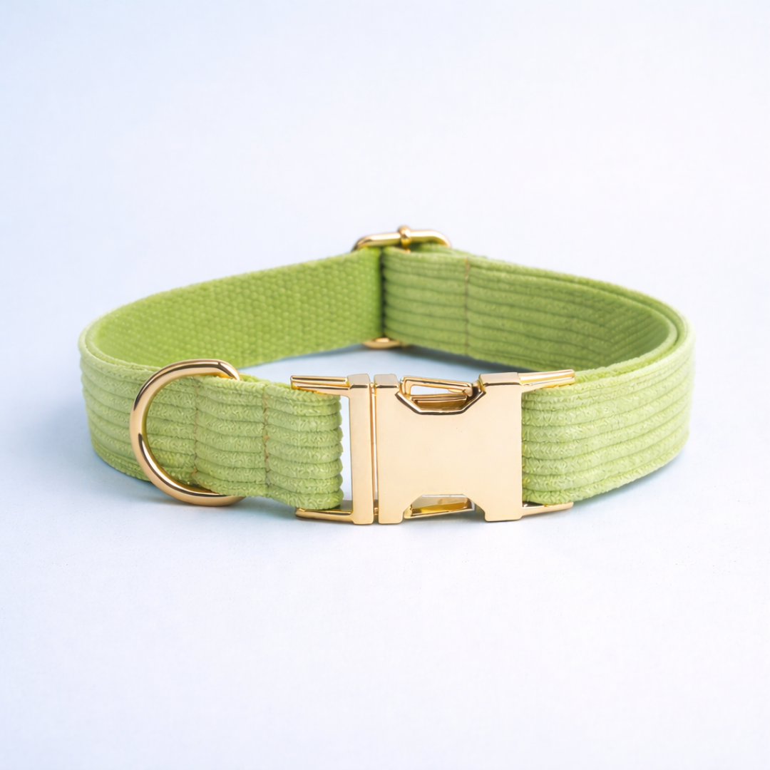 Apple Fruit Green Corduroy Collar & Leash