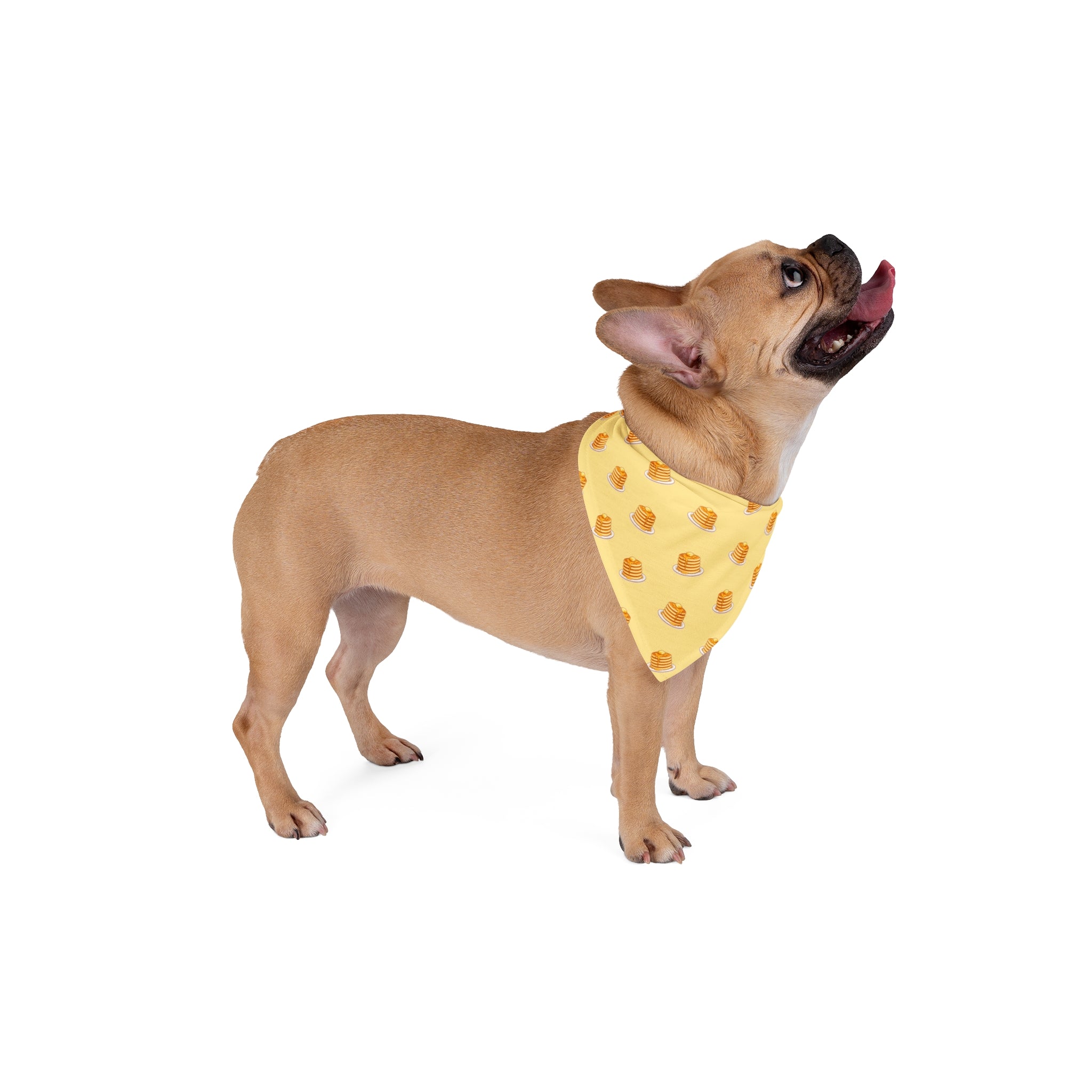 Honeycomb Treat Pet Bandana — Yellow Pancake Pattern