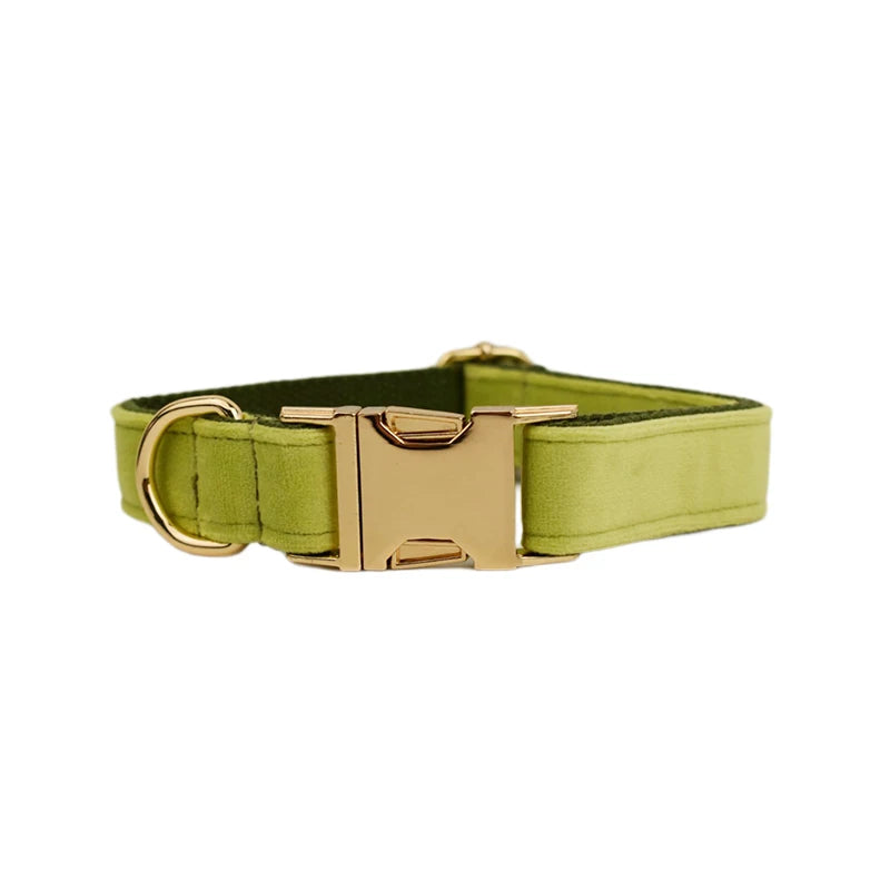 Avocado Velvet Collar & Leash