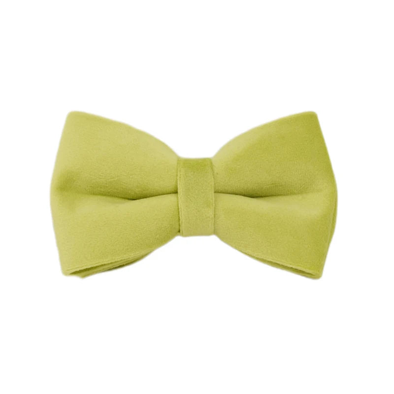 Avocado Velvet Collar & Leash