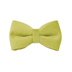 Avocado Velvet Collar & Leash