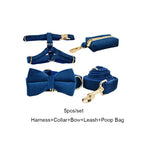 Azure Velvet Walk Set