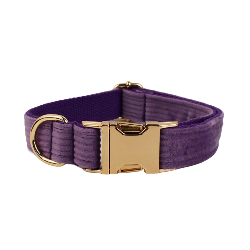 Epic Purple Corduroy Collar & Leash