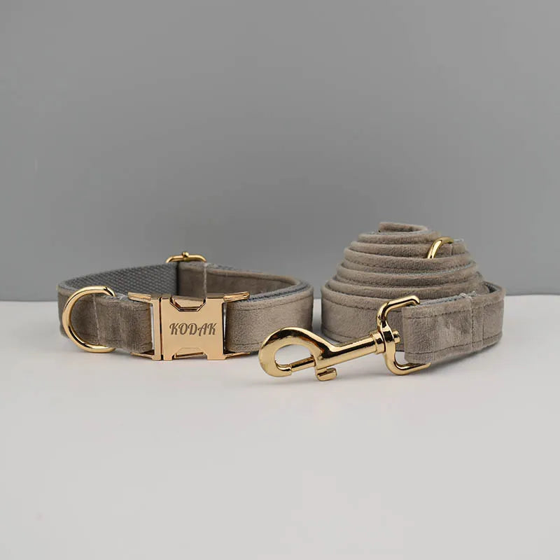 Grey Velvet Collar & Leash