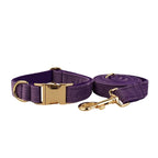 Epic Purple Corduroy Collar & Leash