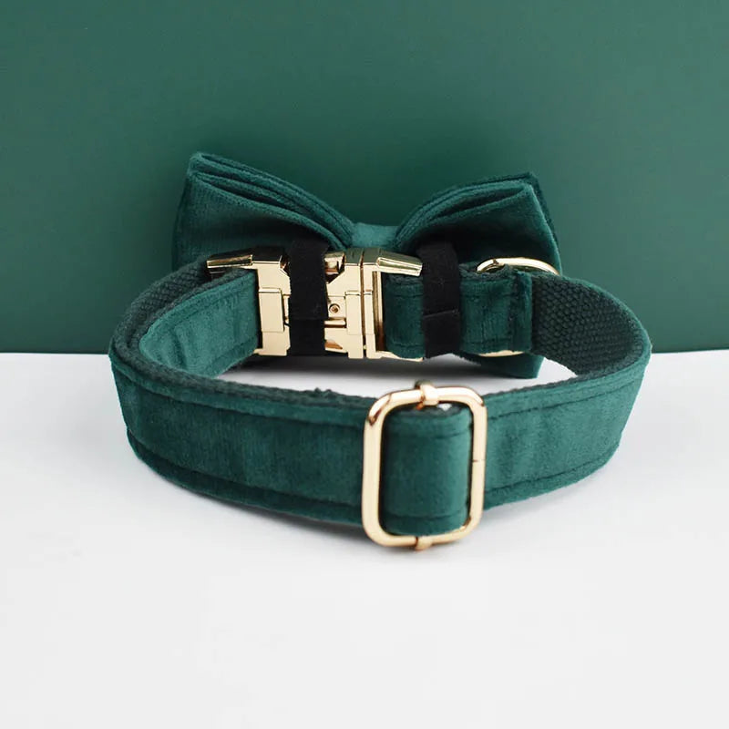 Green Velvet Collar & Leash