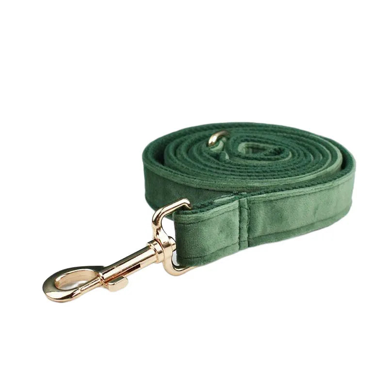 *Forest Green Velvet Collar & Leash