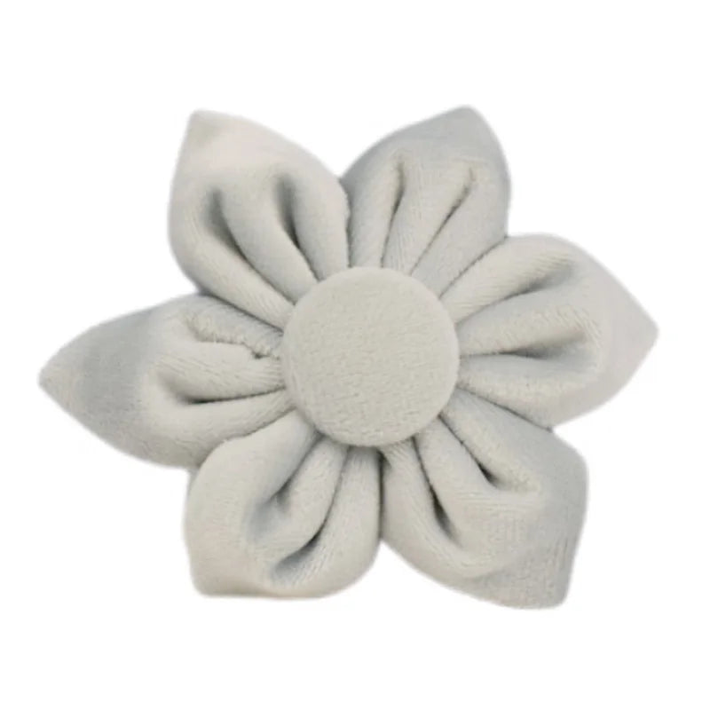 Sky Velvet Collar & Leash