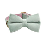 Mint Green with Red Base Velvet Collar & Leash