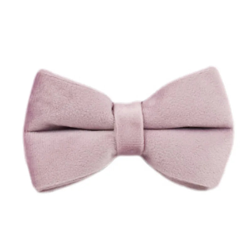 Deep Purple Velvet Collar & Leash