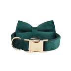 Green Velvet Collar & Leash