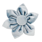 Nordic Blue Velvet Collar & Leash