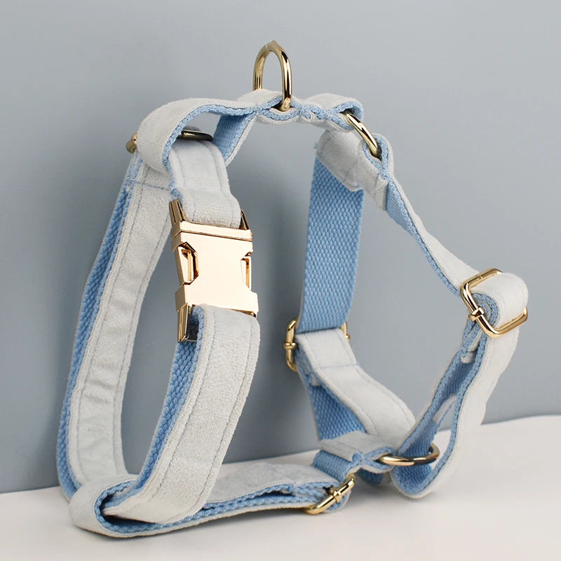 Sky Velvet Harness