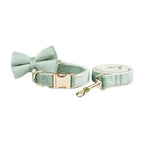 Mint Green Velvet Collar & Leash