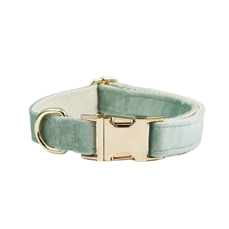 Mint Green Velvet Collar & Leash