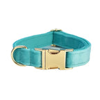Turquoise Stone Velvet Collar & Leash