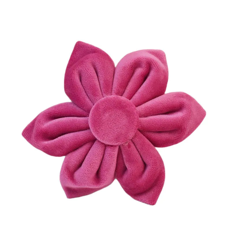 Raspberry Pink Velvet Collar & Leash