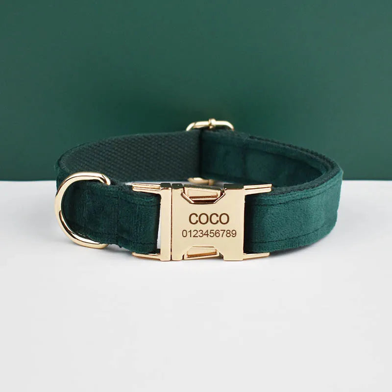 Green Velvet Collar & Leash