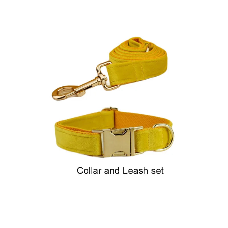 Mustard Velvet Collar & Leash