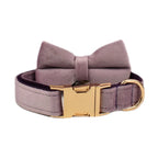 Deep Purple Velvet Collar & Leash