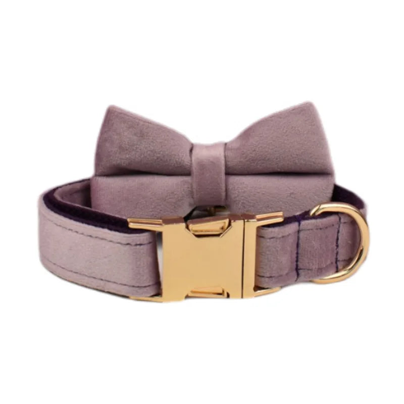Deep Purple Velvet Collar & Leash