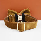 Cinnamon Velvet Collar & Leash
