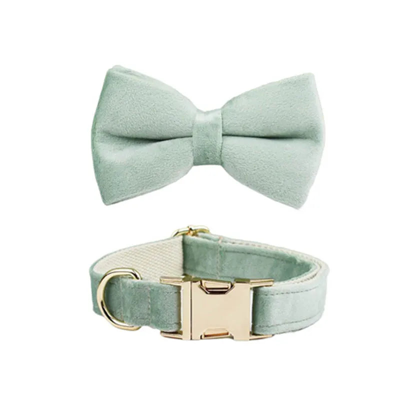 Mint Green Velvet Collar & Leash