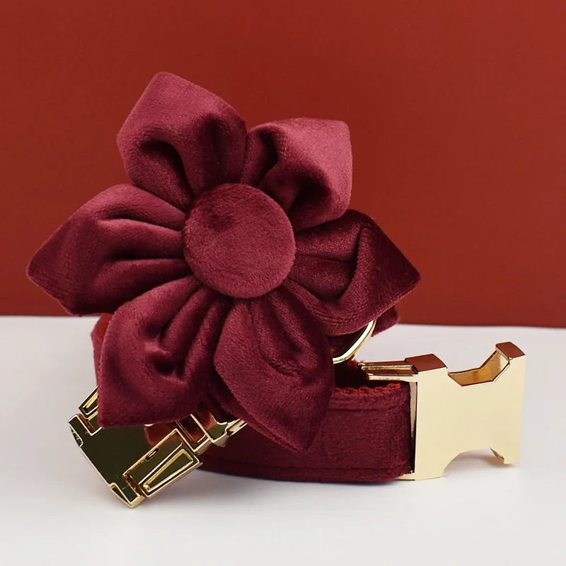 Red Wine Velvet Collar & Leash Set