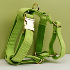Apple Fruit Green Corduroy Harness