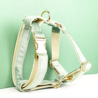 Mint Green Velvet Harness