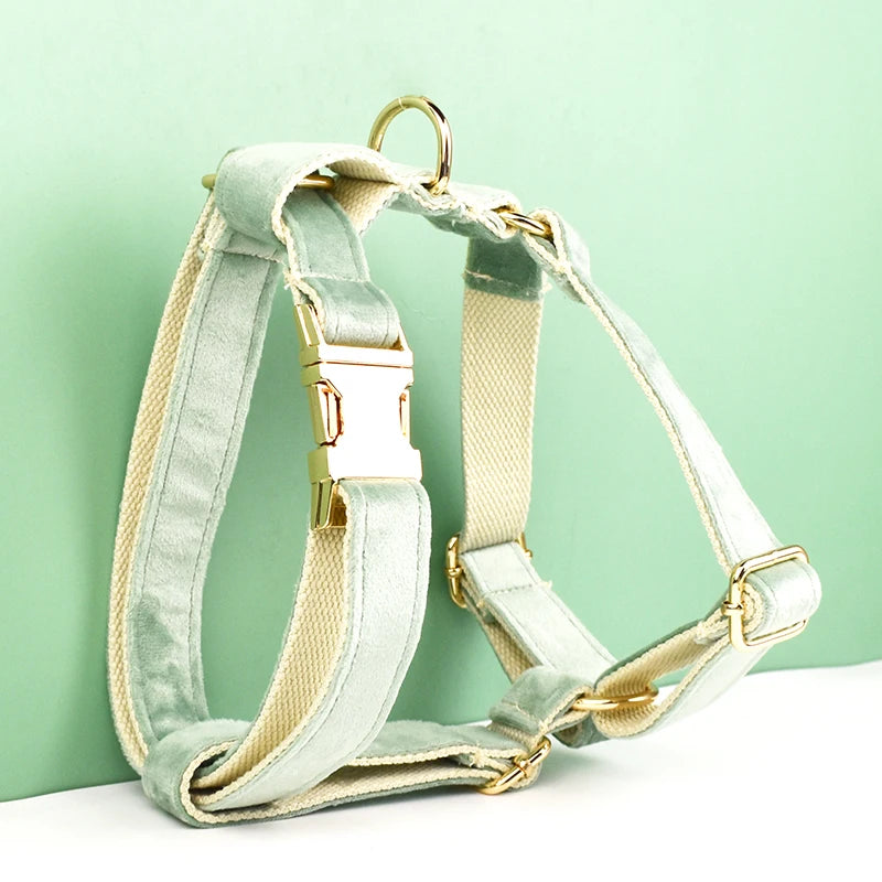 Mint Green Velvet Harness