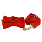 Ruby Red Velvet Collar & Leash