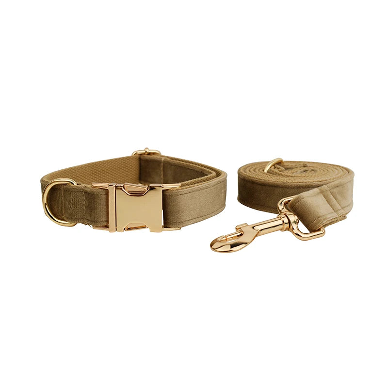 Shallow Khaki Velvet Collar & Leash