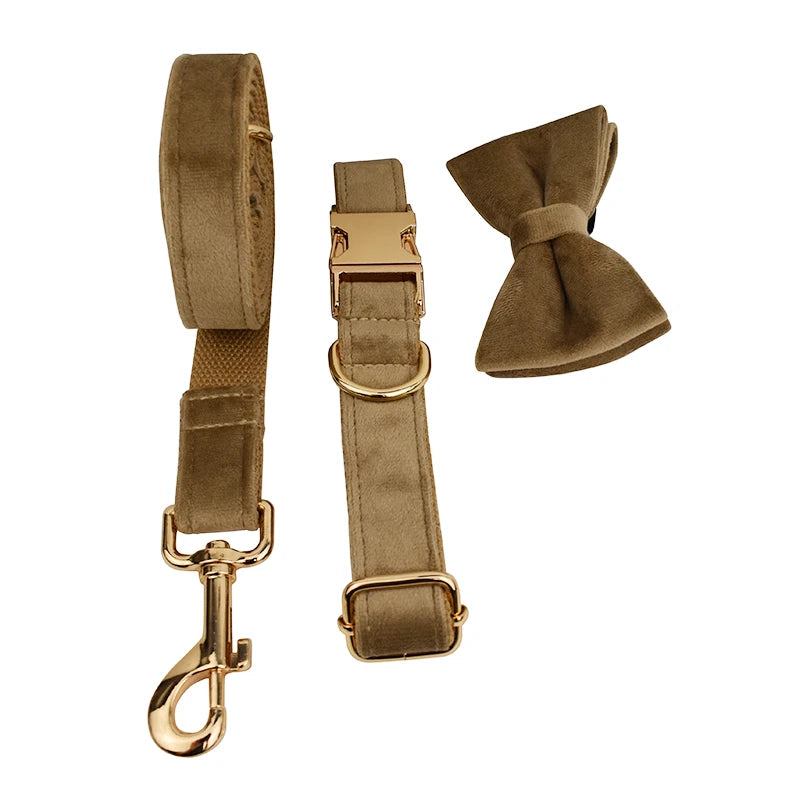 Shallow Khaki Velvet Collar & Leash