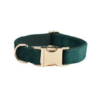 Green Velvet Collar & Leash