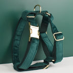 Green Velvet Harness